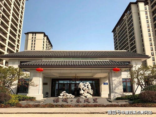 綠城春風(fēng)十里 采光好,日照時(shí)間長,可以節(jié)約資源 梅花洲